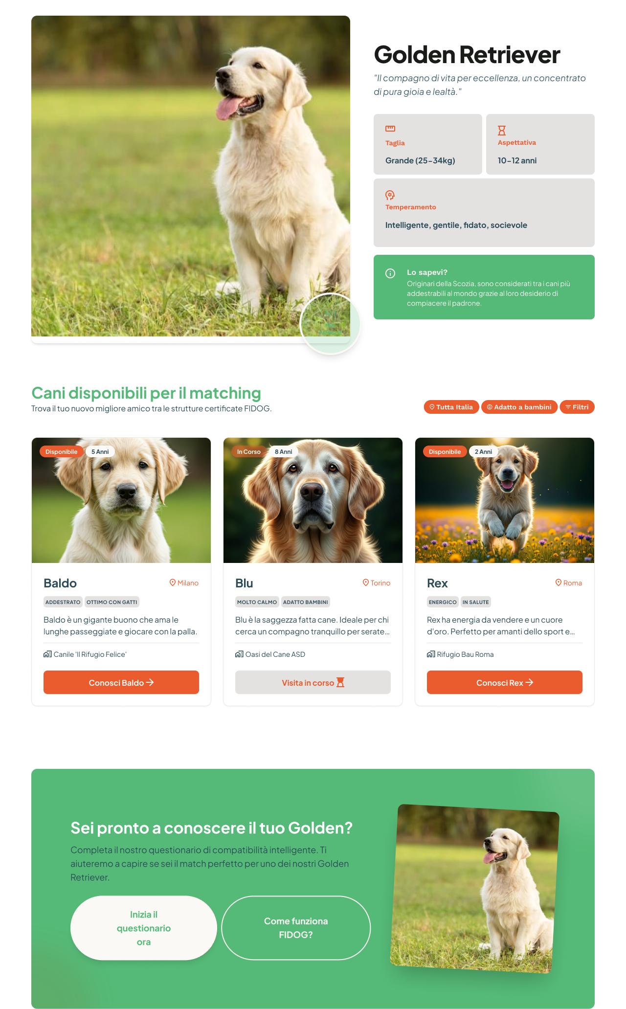 Fidog
